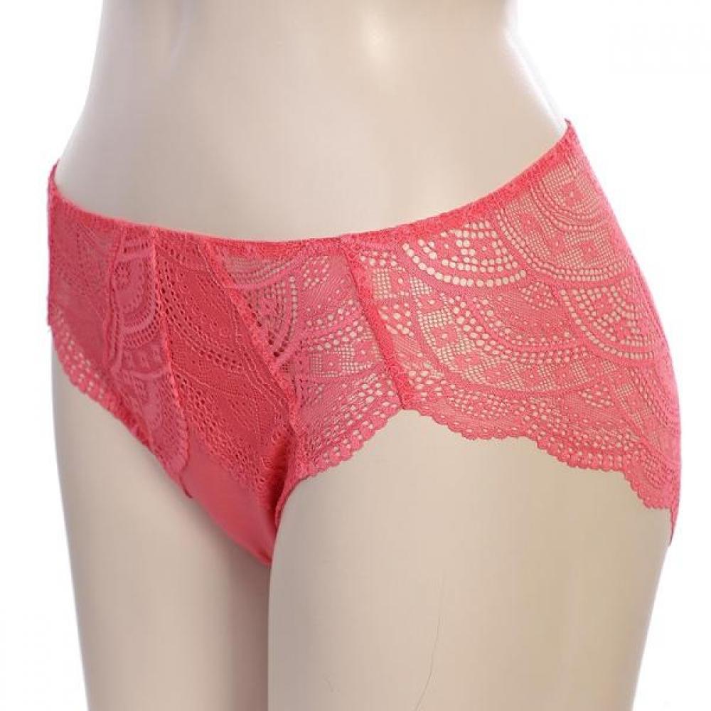 Barbara 2color Lace Triangle Panty Abp4458 