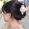Mittlere Vogel-Haarkralle Koreanischer Stil Acetat-Haarspange Elegantes Tier-Haifisch-Clip zum Gesichtswaschen