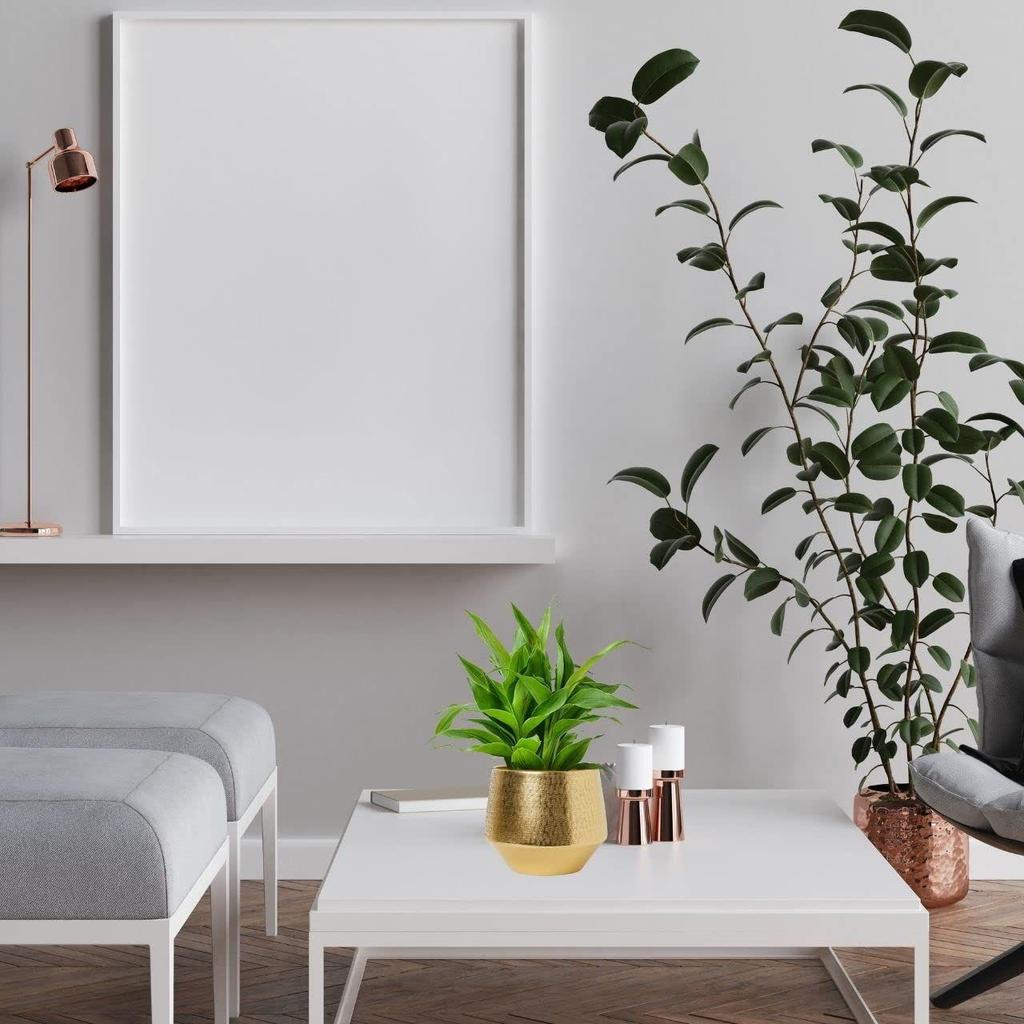 5 inch, Ghiveci Metalic Eion Jr, Ghivece Decorative Moderne de Interior pentru Plante cu Flori, Decor pentru Casă și Grădină