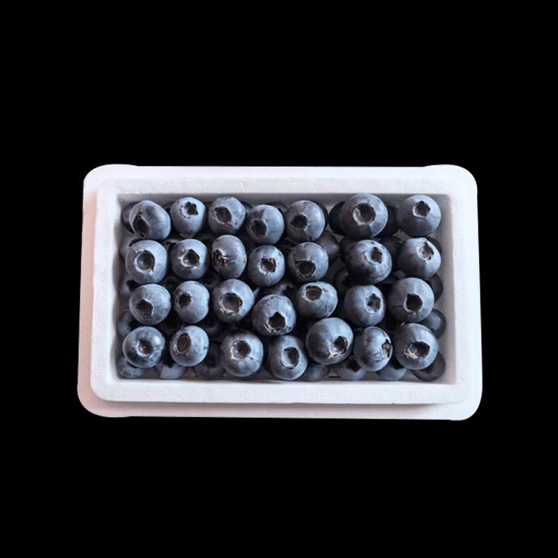 Tian Shuguo Yuan Floral Blueberries