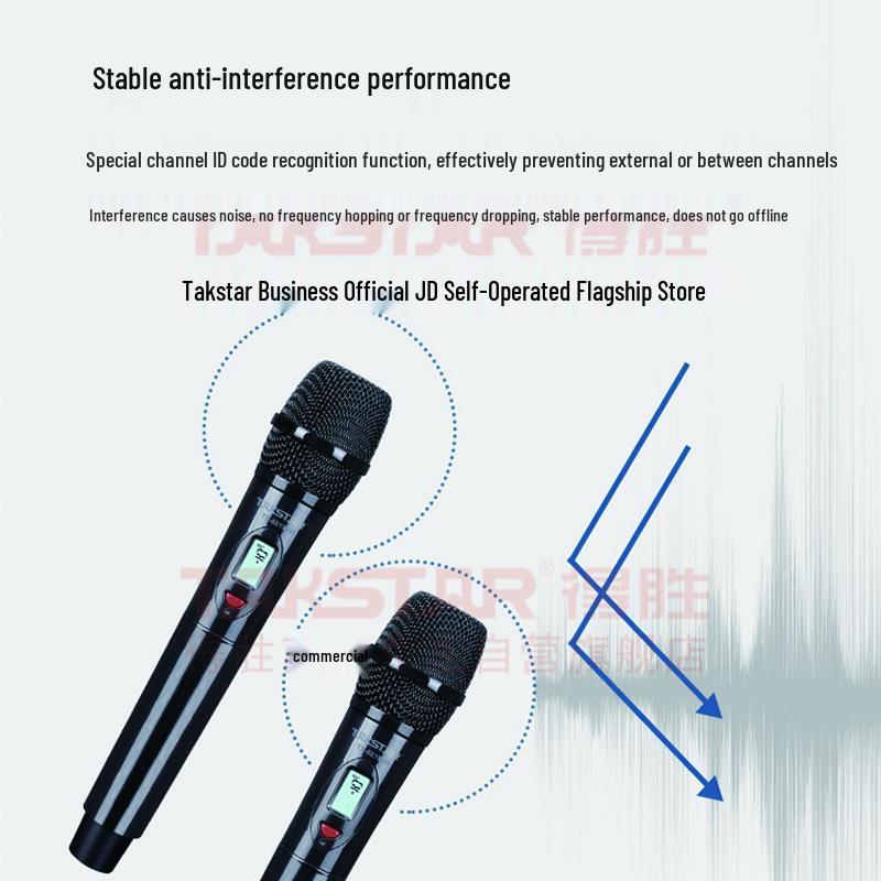 TAKSTAR TS-8819HH Dual Wireless Microphone System (CN version)