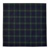 COLORFUL CANDY STYLE Lunch Lunch Napkins X Set of Tartan Check and Dark NL300900 Cloths/School (45cm 45cm), Water-Repellent, No-Iron, 2, Green,