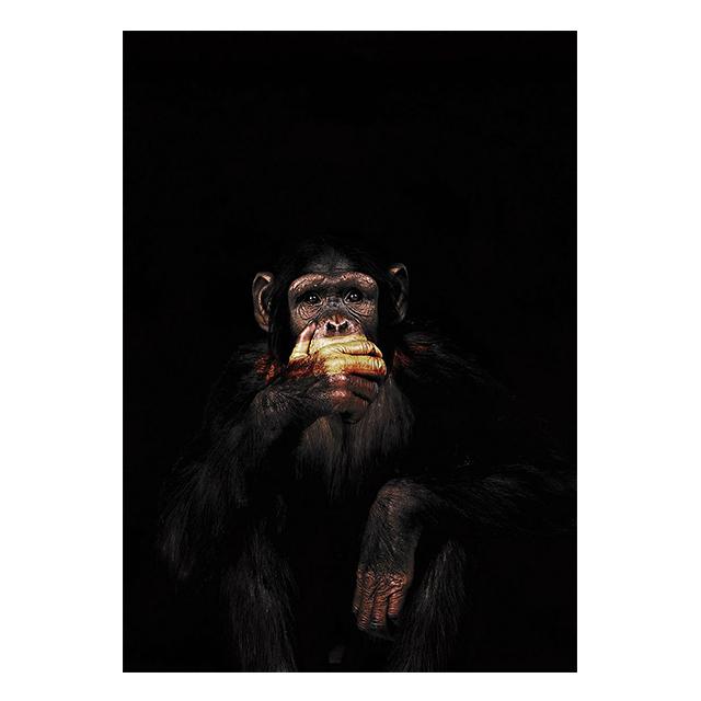 

Животное Обезьяна Черный Фон Принты Постер Холст Картина Hd Современное Настенное Искусство Картинки Для Гостиной Спальни Украшение Дома 21x30cm No Framed