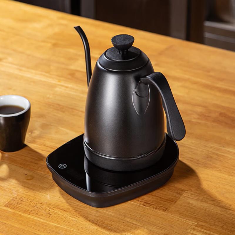 TLXT Elektrischer Wasserkocher für Kaffee & Tee