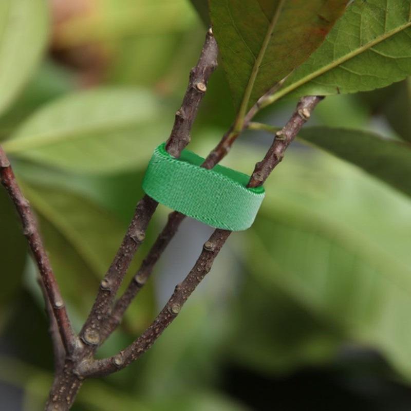 Nylon Plant Ties Plant Bandage Hook Tie Loop Adjustable Plant Support Reusable Fastener Tape for Home Garden Accessories
