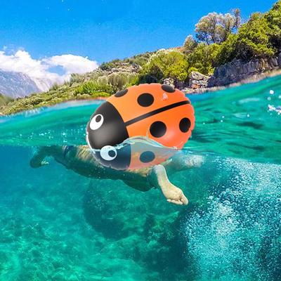 Înot – Accesorii pentru înot