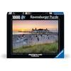 Puzzle - Ravensburger - Ostseebad Ahlbeck - 1000 Pieces - 70 X 50 Cm - Recycled Cardboard