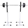 VidaXL Support d'Haltères avec Jeu d'Haltères et de Poids 60,5 kg Entraînement 275349