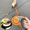 Dog traction rope with automatic reflective Leash Retractable Roulette Leads Running for Small Large