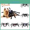 Halloween Huisdier Hond Kat Simulatie Schedel Zwarte Spin Kostuum