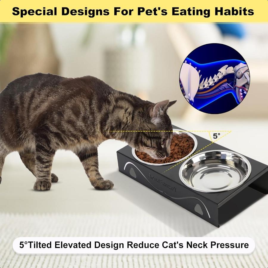 2 Pack Cat Food Bowls Indoor Set with Metal Stand5 Tilted Anti Vomiting Wide Raised Pet Dish Cute Elevated Cat Feeding Station