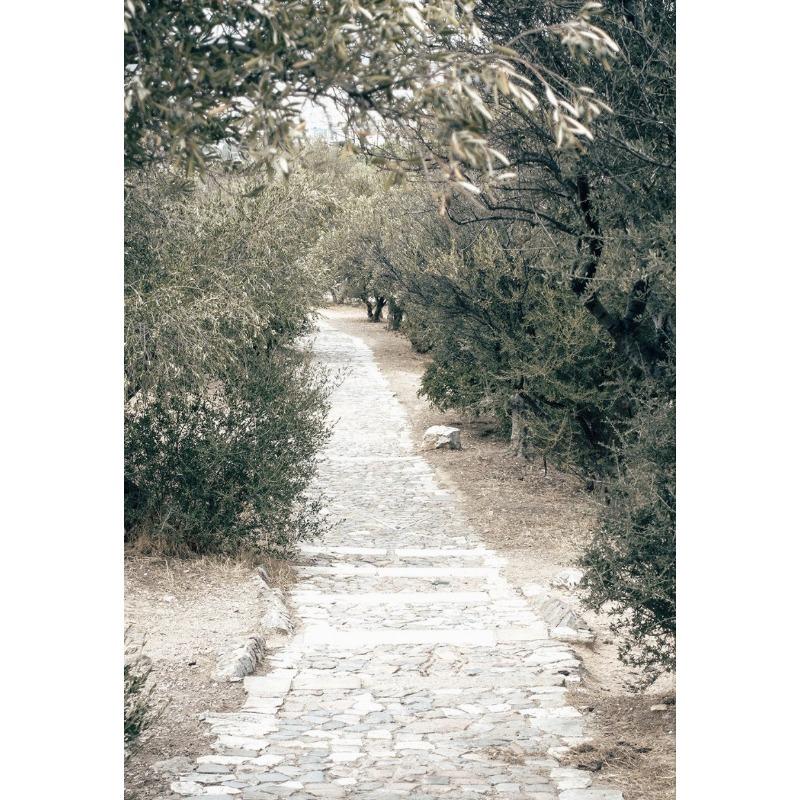 

Средиземноморский итальянский пейзаж Оливковые деревья Деревня Туризм Природные пейзажи Плакаты Картина на холсте Настенная картина Домашний декор 21cm×30cm NoFrame