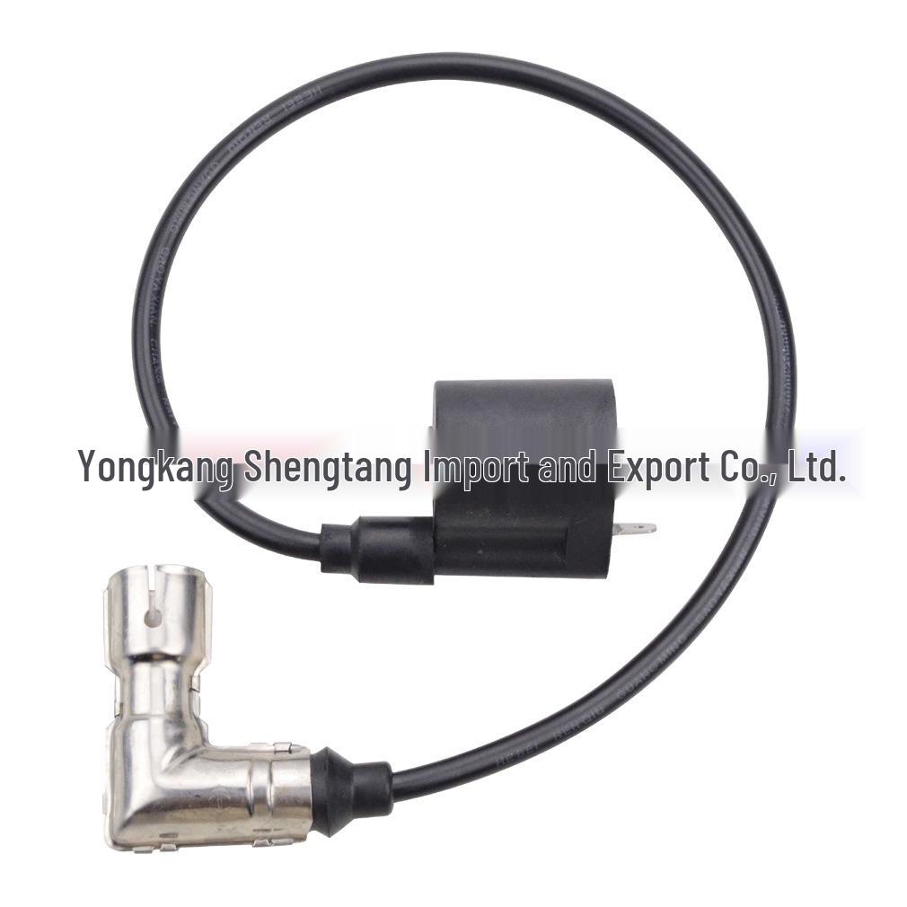 Ignition Coil for CG125cc-250cc Vertical Engine ATV, Off-road Vehicle, Kart, Motorcycle