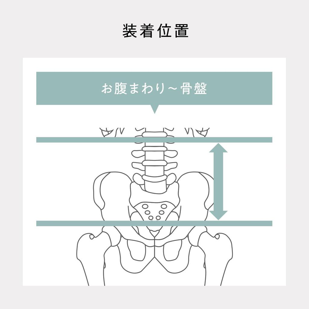 Store Style Lumbar Deluxe with Original MTG Pelvic Belt for Posture and Lower Back Support [Official Exclusive] Guidebook,