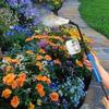Garden Powder Applicator Folding Plant Powder Duster Sprayer Multi-Functional Diatomaceous Earth Sprayer Gardening Agricultural