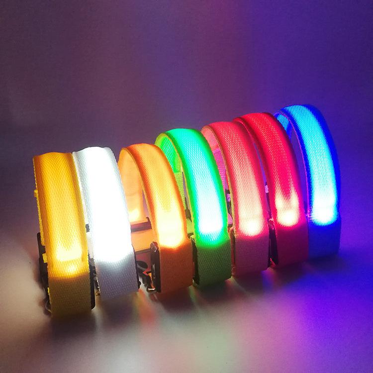 LED Pet Supplies Glow Dog Collar & Leash Set - Anti-Lost Necklace & Walking Accessory