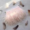 Feather1M Fluffy White Ostrich Feathers Trim Fringe 8-10cm Wedding Party Decoration Feather Ribbon for Dress Clothing  Sewing Crafts