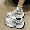 Dad ins shoes women's spring new versatile heightening platform casual retro sneakers