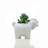 Cartoon Unicorn Ceramic Flower Pot Succulent Pot Planter Desktop Ornaments Art Vase Home Decoration Plant Pot Gardening Pot