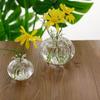 Transparent Pomegranate Glass Vase Creative Red Pomegranate Fruit Vase Hammer Pattern Handmade Hydroponic Flower Vase Office