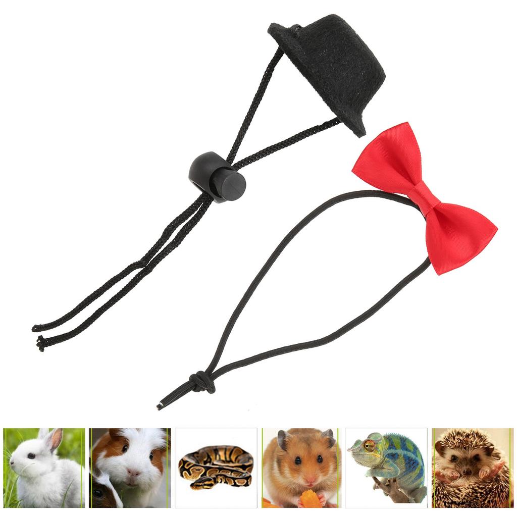 Reptile Hat and Bow Tie Cute Valentine s Day Clothes Set for Bearded Dragon Hamster Guinea (Black Hat Red Bow Tie S)