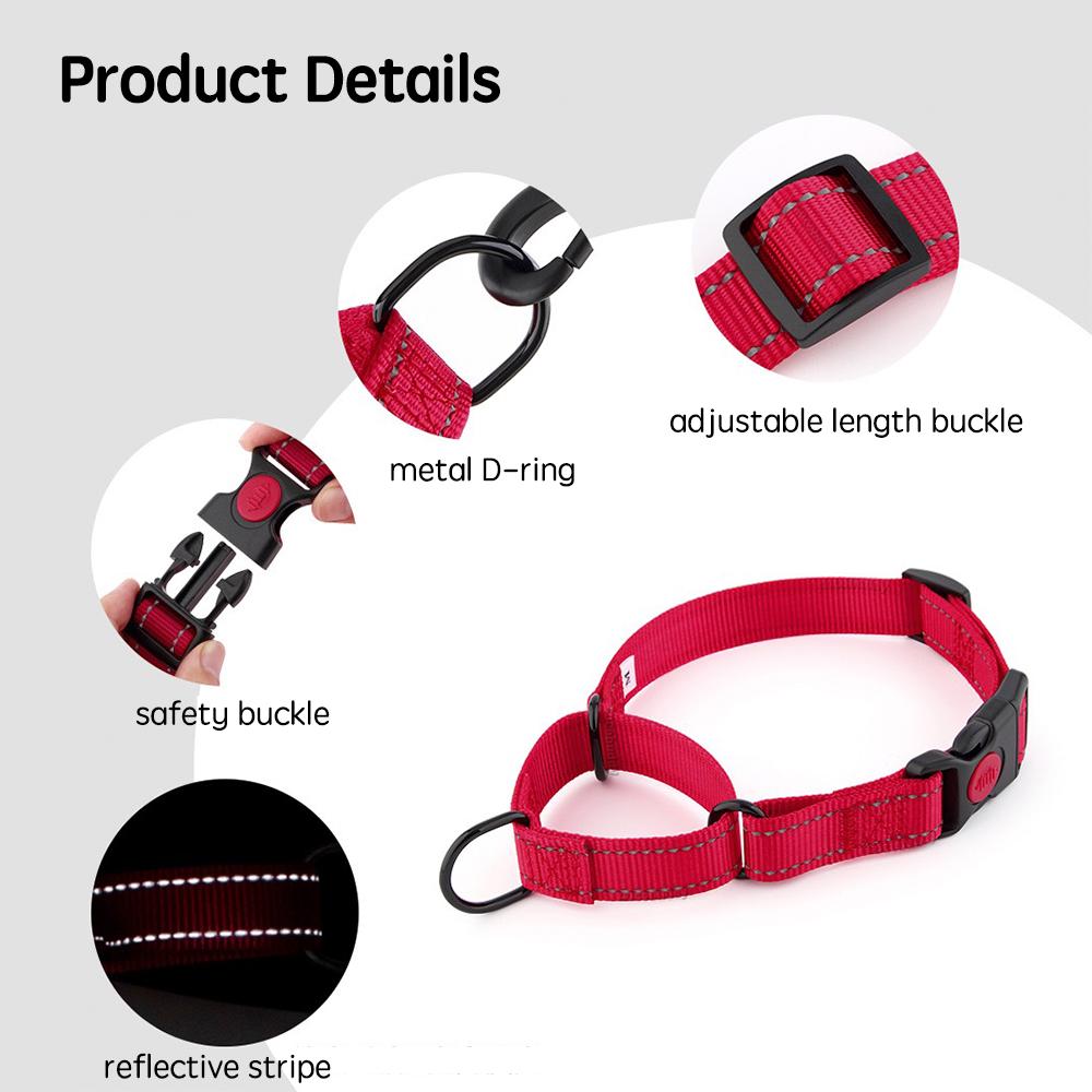 Adjustable Pet Dog Collars Safety Lock On Nylon Golden Retriever Neck Leash Accessories Outdoor 2 in 1 P Chain Pet Supplies