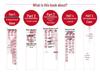 Data Standardization: Enterprise Data Governance