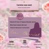 Lux Red Rose Essential Oil Shampoo & Conditioner Set