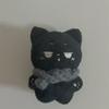Seventeen Wonwoo Jeon Kan-nang 10cm Doll