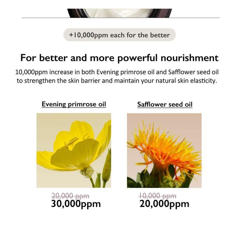 haruharu wonder - Black Rice 10 Hyaluronic Cream Unscented