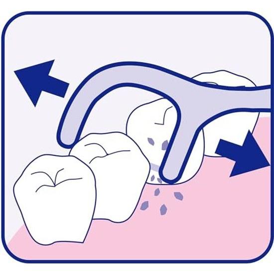 Dental Pro Fresh Floss Pick 100 pieces Soft units (x 1)