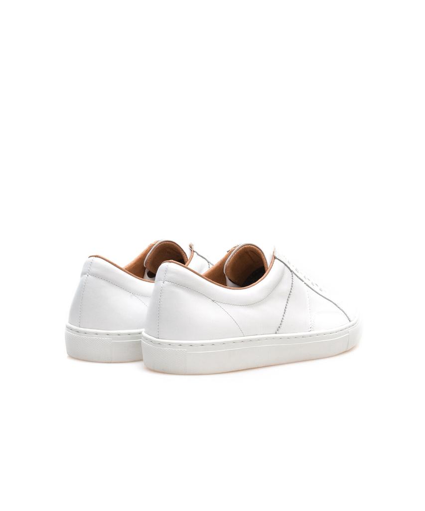 Allclassic Alc051 Cambridge Sneakers_White