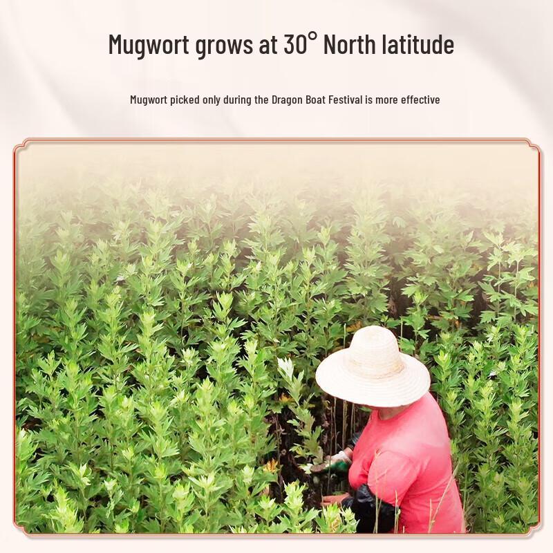 Aixiutang Aged Mugwort Moxa Sticks, 10 Pcs