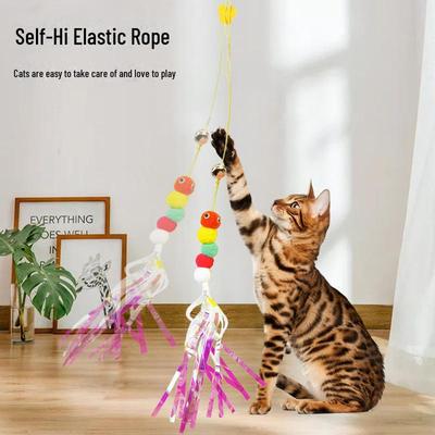 Gatti – Giocattoli per gatti