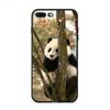 High Resolution Cellphone Shell Cute Panda For Iphone 13 12 Mini 11 Pro Max XS Hard Mobile Phone Case X XR SE 8 7 Plus 5 6 Cover