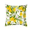 Federa cuscino frutta estiva color chartreuse federa limone decorazione con lettere divano casa nordica