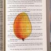 Acrylic Grape Tomato Apple Bookmark – Cute, Transparent, High-End Student Gift and Reading Marker
