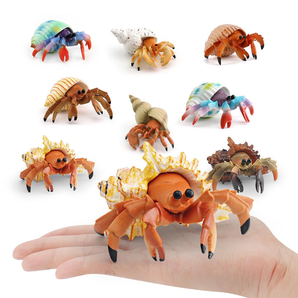 Simulation Marine Animal Pvc Hermit Crabs Sculpture For Kids Learning And Decorative Collection