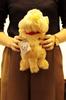 Yoshitoku Golden Retriever Plush Toy, SS, 30.5x17.2x9.2cm, 180370