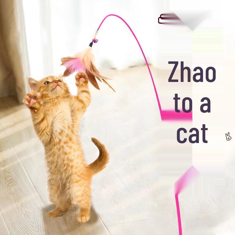 

Інтерактивні іграшки для котів Hanhan Paradise