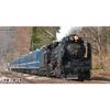 [KATO] N Gauge D51 498 (with Pilot Lamp) 2016-A Railway Model Steam Locomotive Black Black 1 piece (x 1)