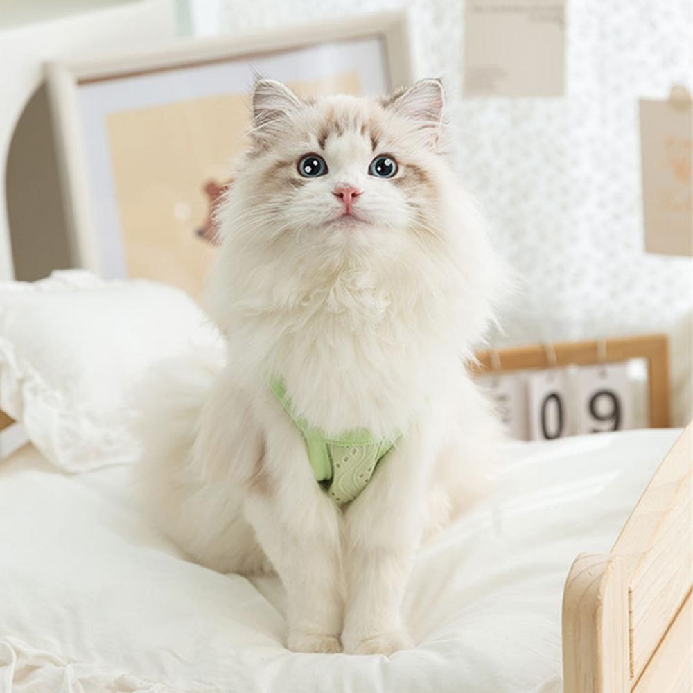 Mesh Breathable Sphynx Cat Clothes Clothing Summer Pet Camisole Vest for Cats Gotas Kitten Garfield Dog Shirts Mascotas Apparel