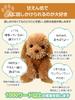 Voice-activated plush toy for adults [Talking Toy Poodle] Easy to use even for seniors. A great gift. Includes phone support.