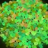 Resin in the Dark Figurines 100-Pack Miniature Decorations for Garden Terrarium Aquarium