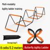 Foldable Agility Training Ladder