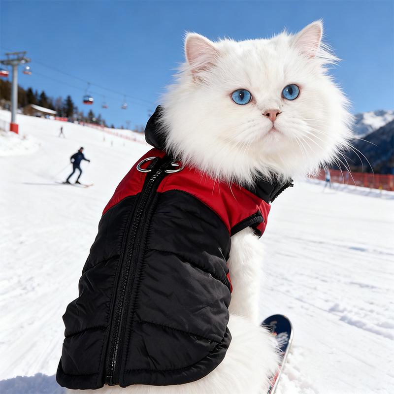 Cotton-padded vest, cotton vest, ski wear, pet vest with its own traction buckle, teddy zipper, dog warm cotton-padded coat.