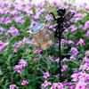 Solar-Powered Iron Art Flower Fairy Lawn Lamp Outdoor Waterproof Garden Kettle Hollow Rojection Light for Decorative Outdoor Use