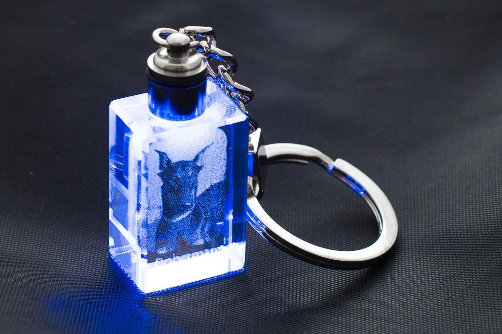 Dobermann, Doberman Pinscher, Dobie - Chaveiro de cristal com foto de cachorro, chaveiro iluminado, presente exclusivo da marca Art-Dog