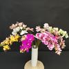 Artificial 3d Printed Butterfly Orchid With Realistic Texture For Wedding Decor And Home Use
