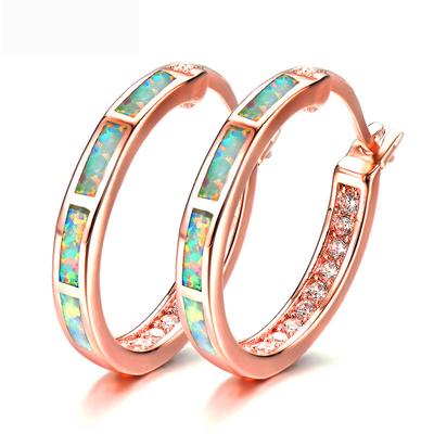 Classic Round Circle Hoop Earrings for Women Rose Gold Color Birthstone Imitation Opal Earrings Engagement Wedding  Gift